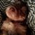 Kristi Hayes's profile image