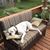 Frank Balogh's profile image