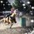 Paula Koelling Wibberg's profile image