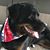 Beverly Davis's profile image