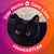 Rhonda Shaeffer's profile image