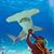 Javi Armas's profile image