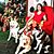 Cynthia Wolf Simonetti's profile image