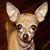 Susan Otten's profile image