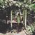 Elizabeth Read Streett's profile image
