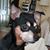 Chris Cutler Schwartz's profile image