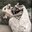 Erik Rowley's profile image