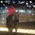 Kelly Wallis's profile image
