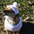 Linda Creque's profile image
