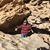 Gail Sanchez Jensma's profile image