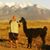 Keith Burback's profile image
