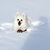 Shanette Hemenway's profile image
