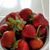 Tony Andrews Farm's profile image