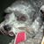 Mandy Rullan's profile image