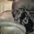 Pam Gulley's profile image