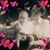 Nell Richardson's profile image