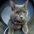 Crooked Tail Camp's profile image