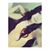 Naomi Lerma's profile image