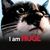 Yucel Ozel's profile image