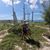 Marina Lynn Geisler's profile image