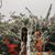 Eunice Chappell's profile image