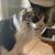 Toby C Kirkiles's profile image