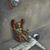 Teddy Jacke's profile image