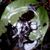 Rob Taylor's profile image