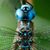 Cathi Hansen's profile image