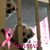 Vickie Cunningham's profile image