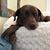 Sarah Herzhauser's profile image