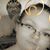Cheyenne Kuper's profile image