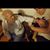 Jon Hoffman's profile image