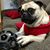 Nanc Smith's profile image
