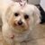 Donna Bates's profile image