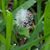 Cathy Richardson's profile image