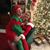 Laura Shaner's profile image