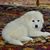 Sherry Purcell-Nawrocki's profile image