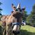 Christi Youngblood Rozema's profile image