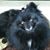 Deborah Casey Yearby's profile image