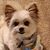 Henry Renn's profile image
