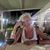 Stacie Redicker Rees's profile image