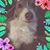 Diane Woods Saucier's profile image