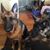 Carole Vee's profile image