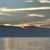Terri Holifield's profile image