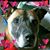 Erin Gagnon's profile image