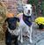 Coleen Bracken-Torres's profile image