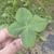 Heather Calloway's profile image