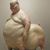 Mark Copeland's profile image