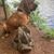 Joshua Diamond's profile image